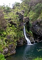 IMG_3883