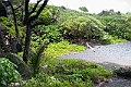 IMG_3899