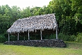 IMG_3920
