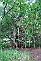 IMG_3921