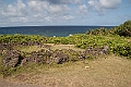 IMG_3923