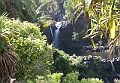 IMG_3939