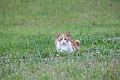 IMG_3941