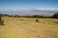 IMG_3958