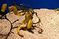 IMG_4150