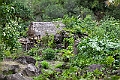 IMG_4269