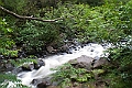 IMG_4310