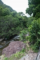 IMG_4331