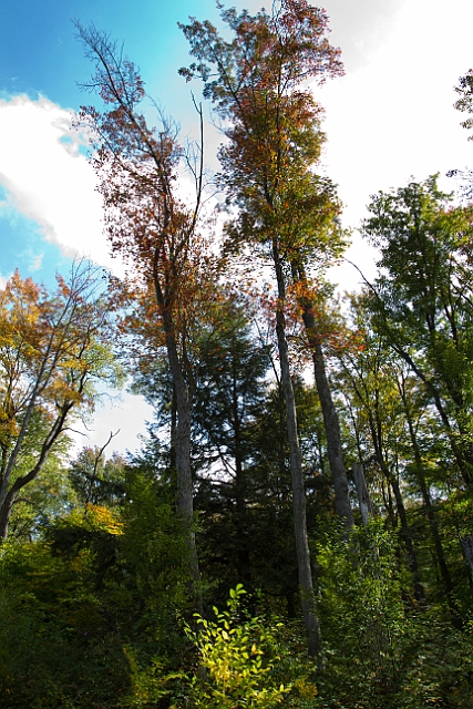_MG_0010.jpg