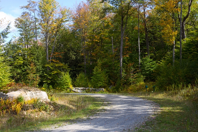 _MG_0016.jpg