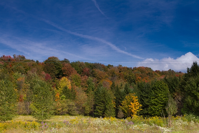 _MG_0026-Edit.jpg