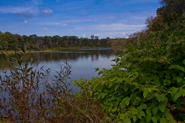 _MG_0154.jpg