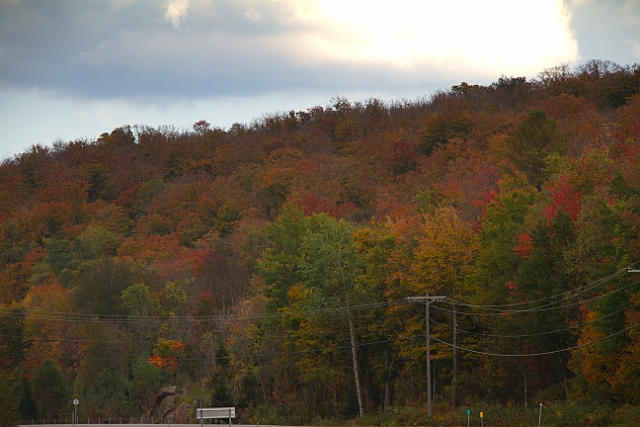 _MG_0224.jpg