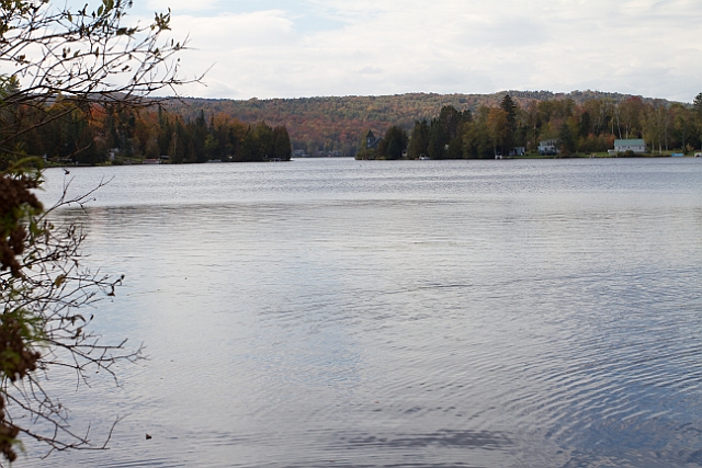 _MG_0366.jpg
