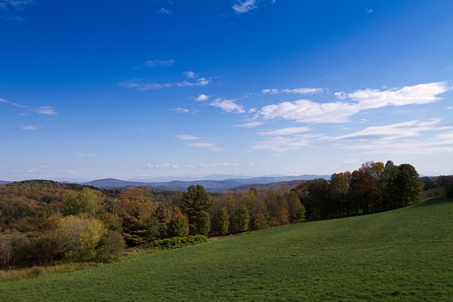 _MG_0372.jpg