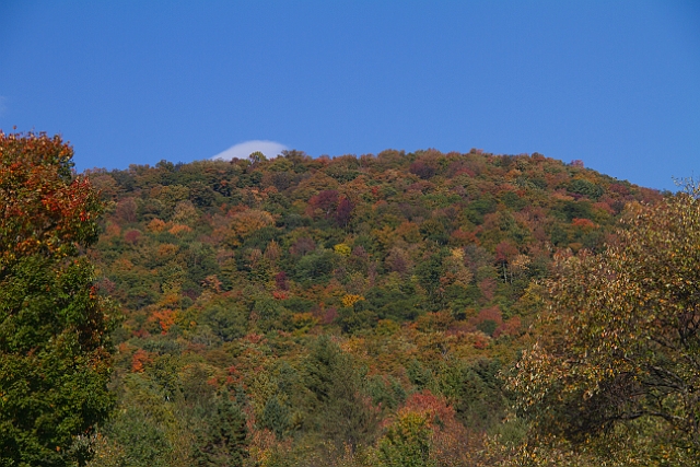 _MG_0376.jpg