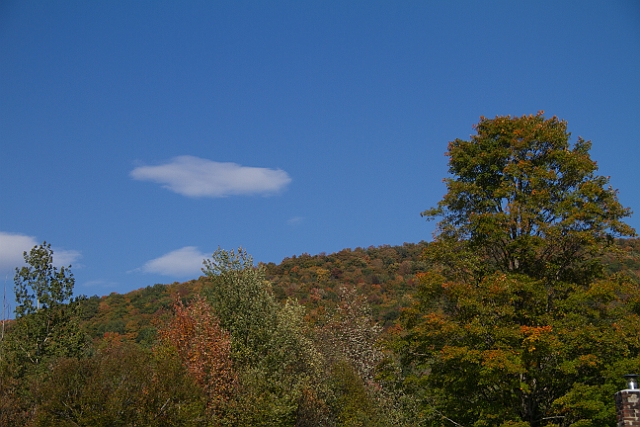 _MG_0377.jpg