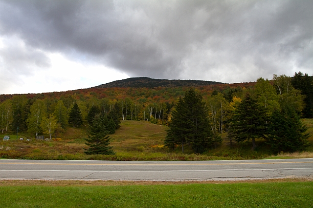 _MG_0381.jpg