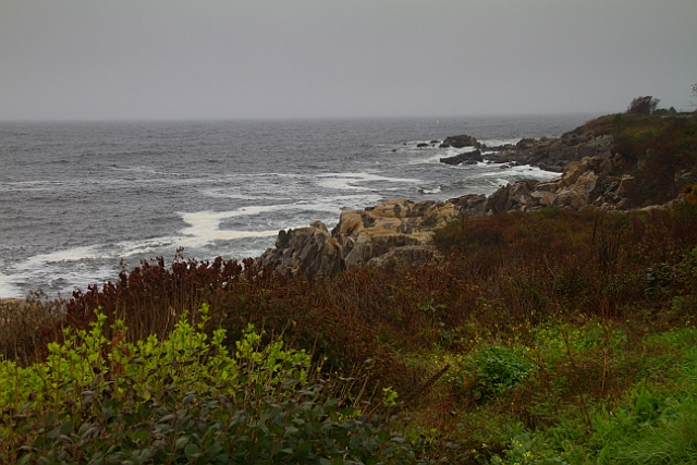 _MG_0483.jpg