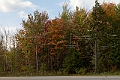 _MG_0175