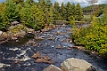 _MG_0184