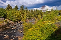 _MG_0186