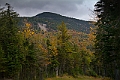 _MG_0263