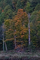 _MG_0267
