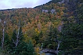 _MG_0278
