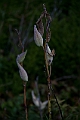 _MG_0280