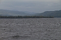 _MG_0351