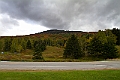 _MG_0381
