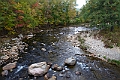 _MG_0390