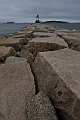 _MG_0429
