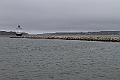 _MG_0434