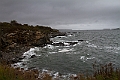 _MG_0436