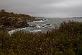 _MG_0439