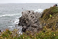 _MG_0440