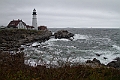 _MG_0452