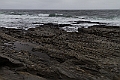 _MG_0466