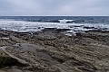 _MG_0468
