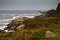 _MG_0491-Edit