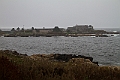 _MG_0492