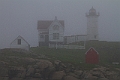 _MG_0496