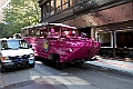 _MG_0578