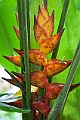 IMG_4363