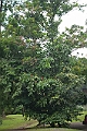 IMG_4379