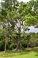 IMG_4404