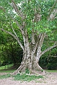 IMG_4416