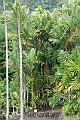 IMG_4425